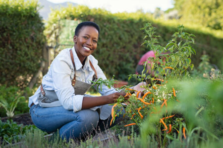 Summer Gardening Tips Image